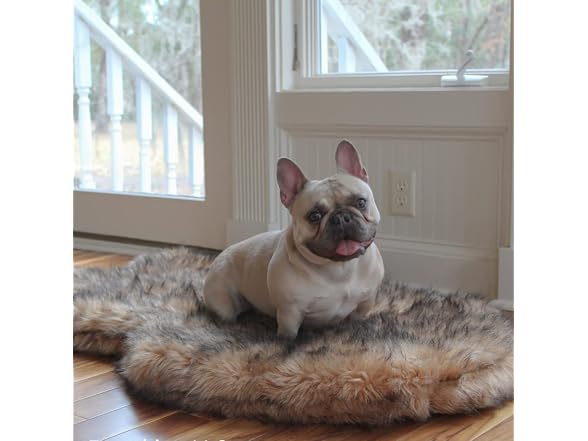 Paw Brands PupRug Curve Luxury Faux Fur Orthopedic