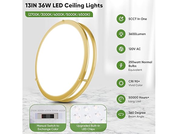 TOBUSA Ceiling Light 13" Brushed Gold