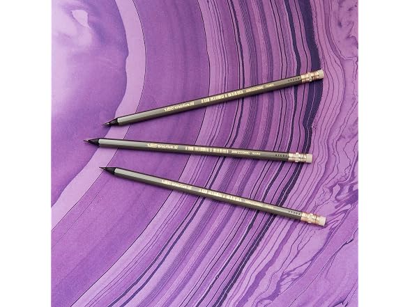 BIC Evolution Cased Pencil, #2 Lead, 24CT