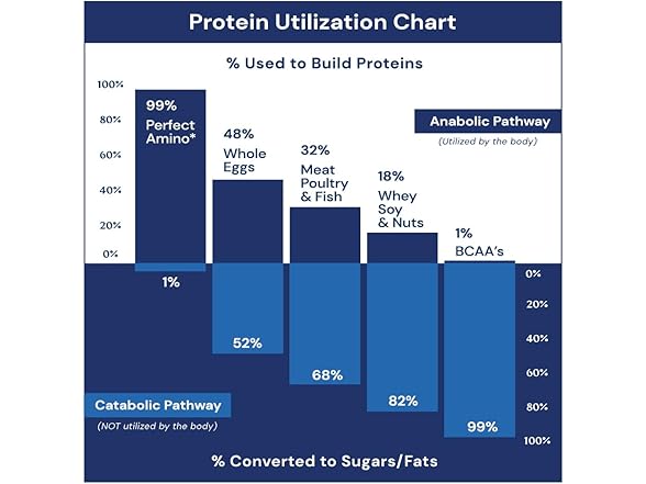 BodyHealth PerfectAmino 150ct