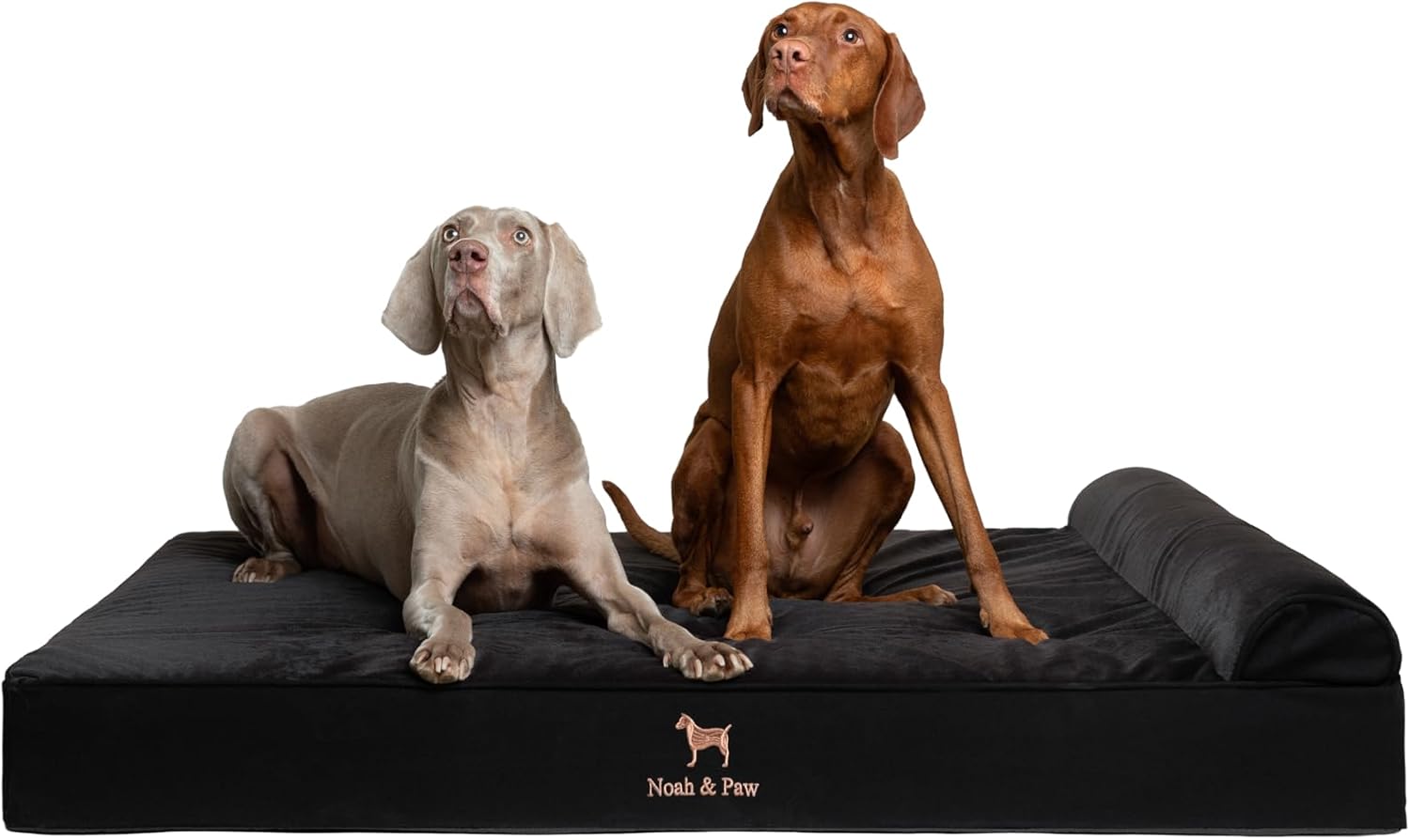 NOAH & PAW Orthopedic Dog Beds- XXLarge - Gallery 15