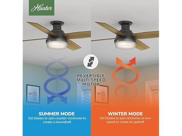 Hunter Fan 52 inch Noble Bronze Indoor Ceiling Fan - Gallery 7
