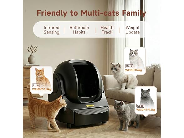Open-Top Auto Cat Litter Box