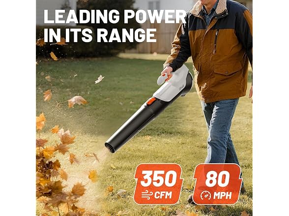 Litheli Cordless Leaf Blower with 2 Batteries