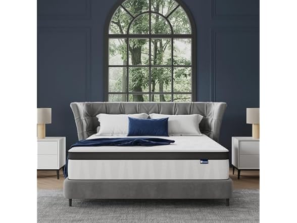 Avenco 14" Queen Mattress in a Box, Medium Firm