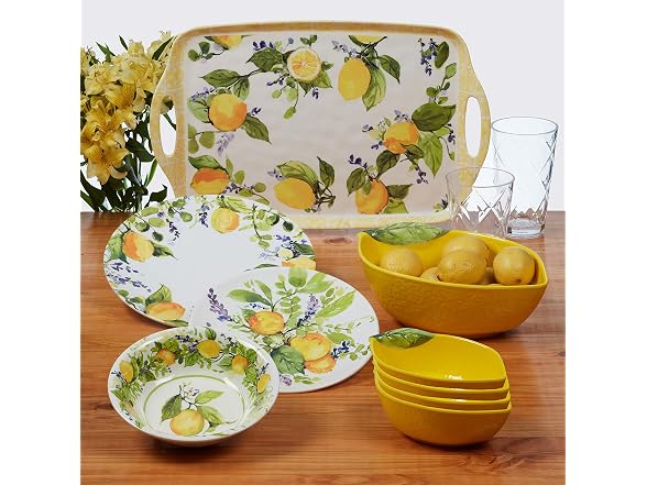Lemon Zest Melamine Dinner Plates Set of 6 