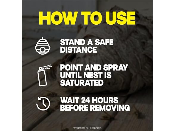 Raid GAR-03 Raid Wasp & Hornet Killer 14 Oz, 2 Ct