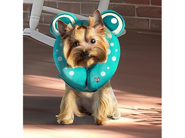 Frog Inflatable Recovery Collar, Comfortable Cone