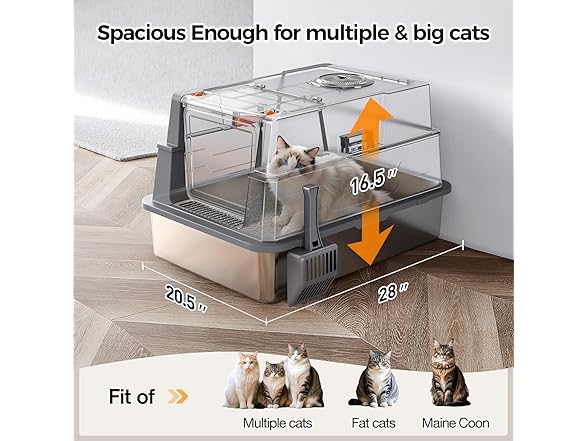 Extra Large Cat Litter Box