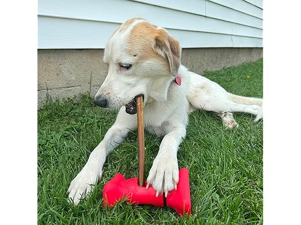 SPOT Safety Treat Holder