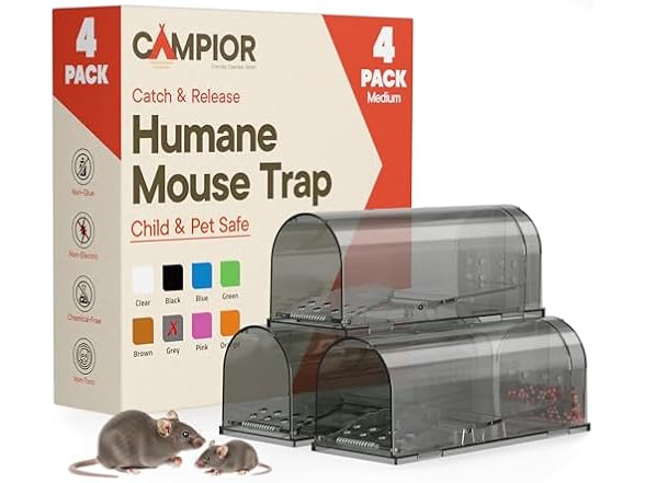 Campior Humane Mouse Trap Pack of 4