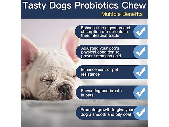 Penkyer Probiotics for Dogs