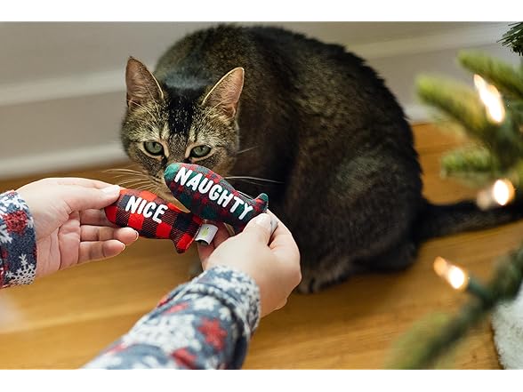 Set of 2 Pearhead Naughty Or Nice Christmas Toy