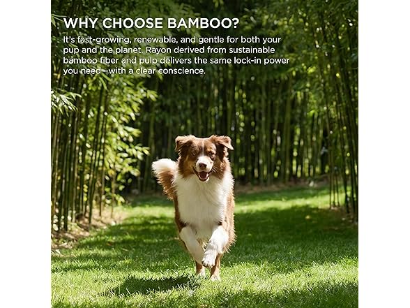 Bedsure Pee Pads for Dogs