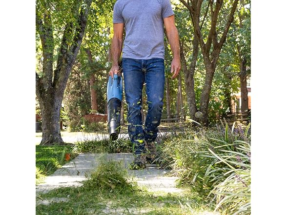SENIX X5 58 Volt Max Handheld Cordless Leaf Blower