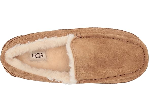 Ugg Men's Ascot Slippers