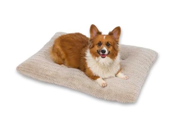 Best Friends by Sheri Comfy Crate Dog Bed Washable, Oyster