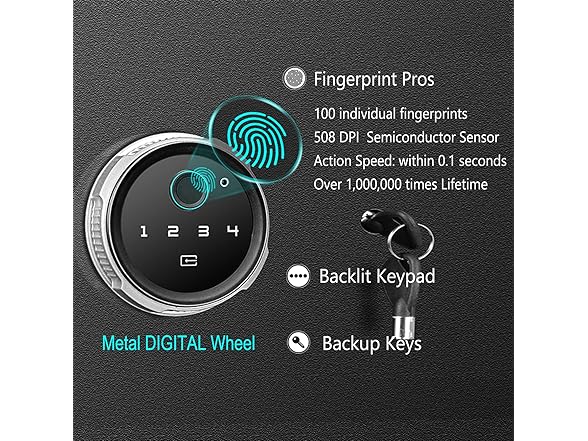LANGGER V Biometric Wall Safe