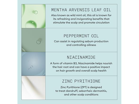 Nioxin Scalp Rcvry System Purify Shamp