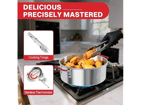 Pipopa 10QT Fish Fryer Pot with Lid