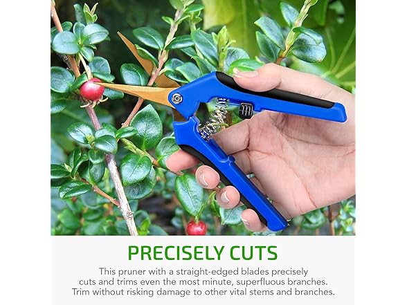 iPower Pruning Shear 6.5" Blue
