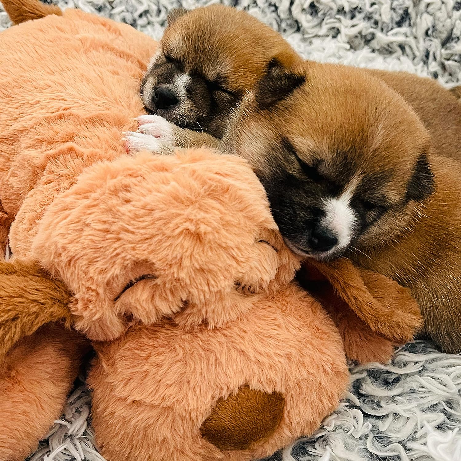 Snuggle Puppy Behavioral Aid Toy (Biscuit) - Gallery 12