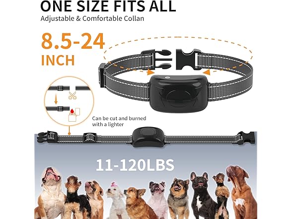brapezie  Dog Shock Collar