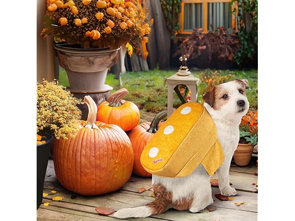 Rubie's Hostess Twinkie Pet Costume, Small/Medium - Gallery 3