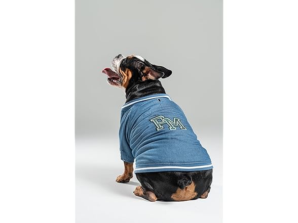 Pooch Mode Reversible Varsity Jacket