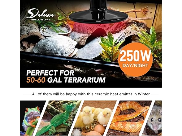 Simple Deluxe 250W Ceramic Heat Lamp