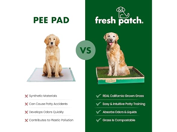 Fresh Patch Real Grass Patch for Dogs, Cats,