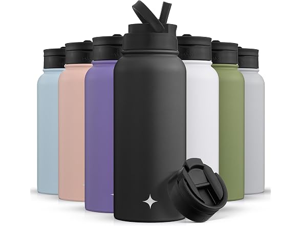 JoyJolt Triple Insulated Water Bottle
