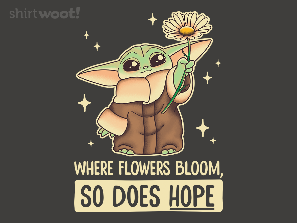 Daisy's The Way - Gallery 4