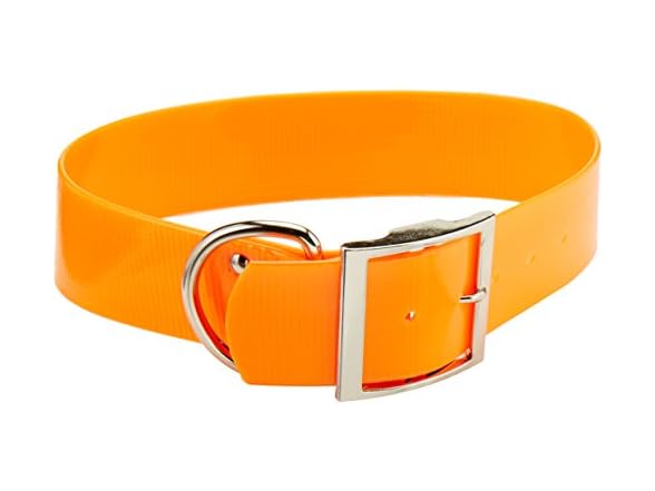 Sunglo Regular Dog Collar, 1 x 30, Neon Gree