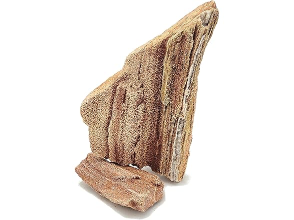 Lifegard Red Wood Petrified Aquarium Stone Mix