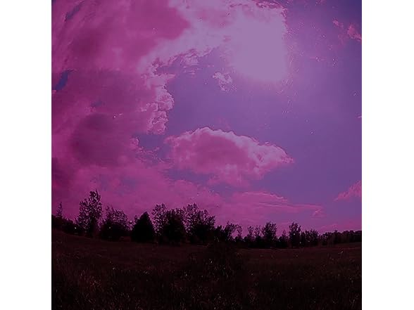 Sunnydaze 10-Inch Glass Gazing Ball, 2 Pack