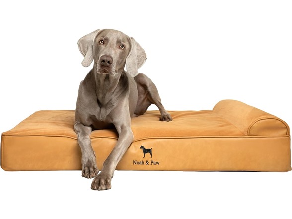 NOAH & PAW Dog Beds- Size and Style VARIES - Gallery 7