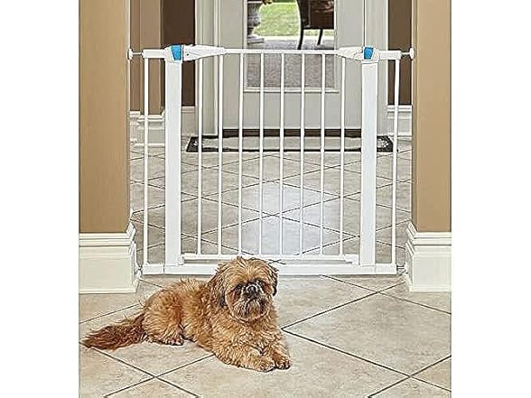 MidWest 29" Walk-Though Steel Pet Gate