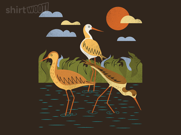 Black-necked Stilt Bird