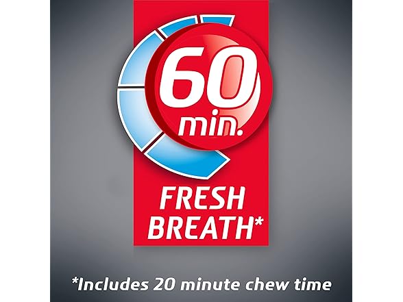 Dentyne Ice Arctic Chill Sugar Free Gum, 9 Packs of 16 Pieces (144 Total Pieces)