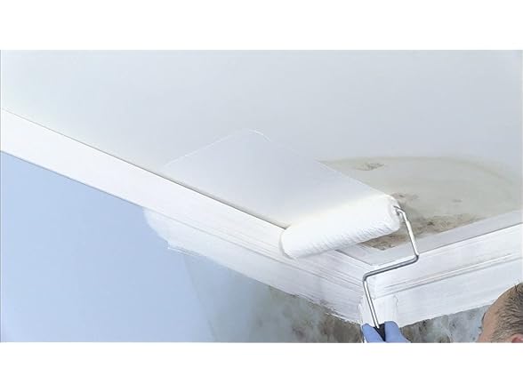 Zinsser Mold Killing Primer, 4 Pack