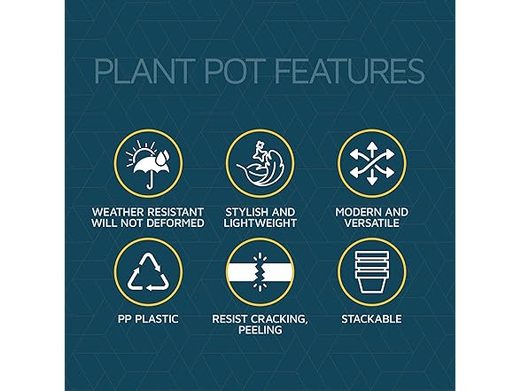 6" Plant Pots w/ Saucers 24pk