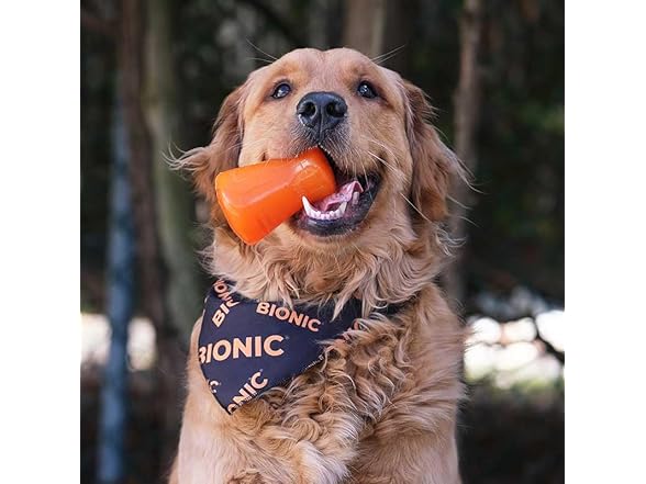 BIONIC Treat Shaker Dog Chew Toy, Large