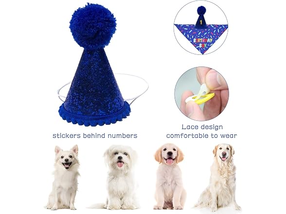 Dog Birthday Bandana Scarf, Boy Dogs Birthda