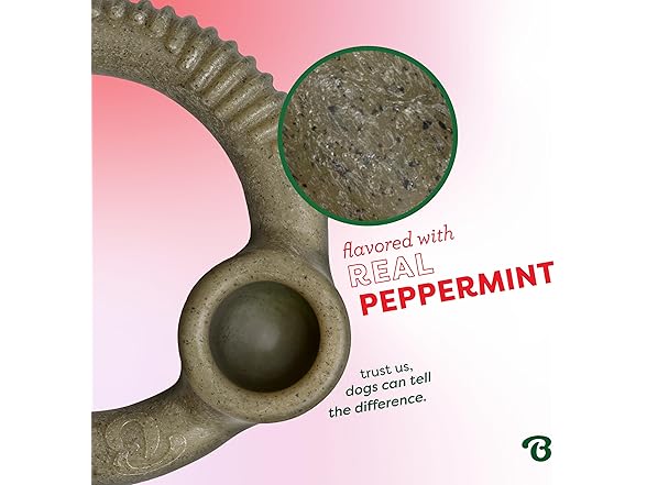 Benebone Peppermint Chew Toy Ring