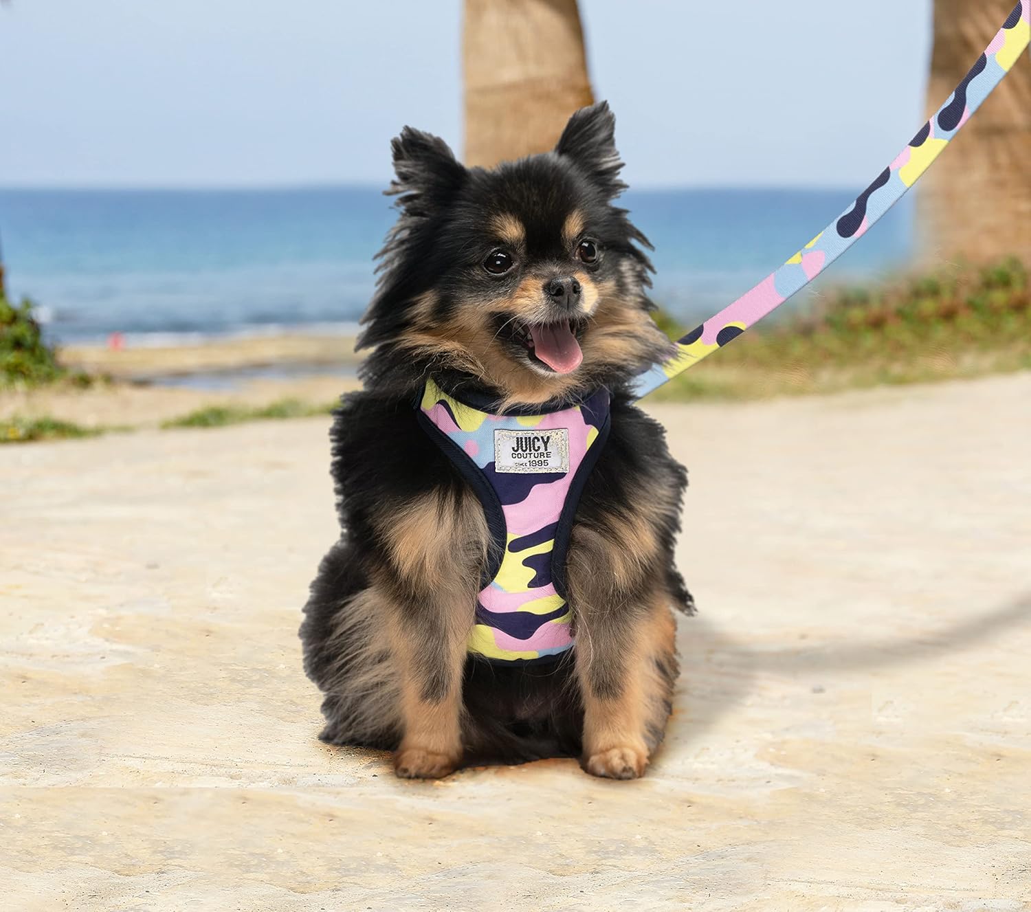 Juicy Couture Colorful Camo Dog Harness and Leash - Gallery 12