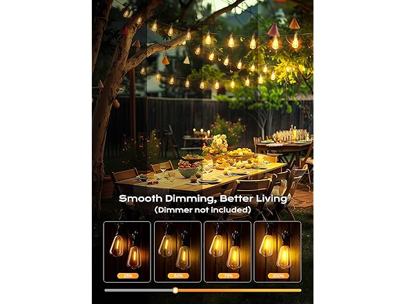 Brightown Outdoor String Lights, 50FT Black
