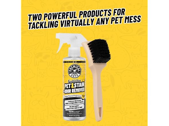 Chemical Guys Pet Mess Cleaning Kit