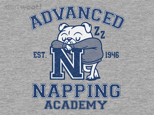 Advanced Napping Academy