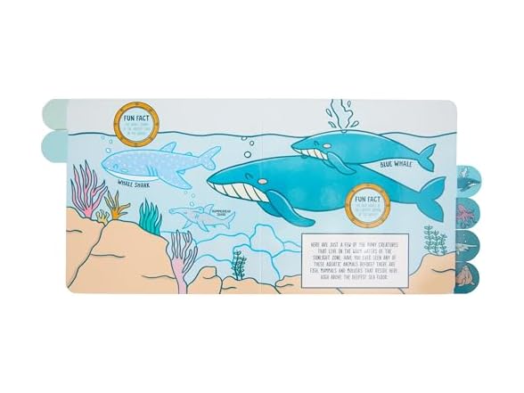 C.R. Gibson Lets Explore Under the Sea Board Book